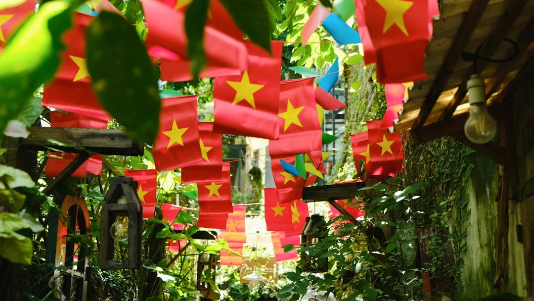 Ảnh sự phát triển bóng đá futsal