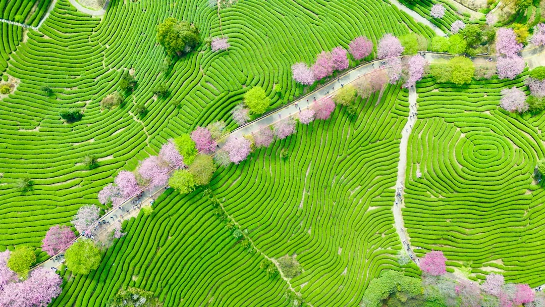 highlight-bong-da-futsal-cam-hung-duoi-goc-nhin-chuyen-gia