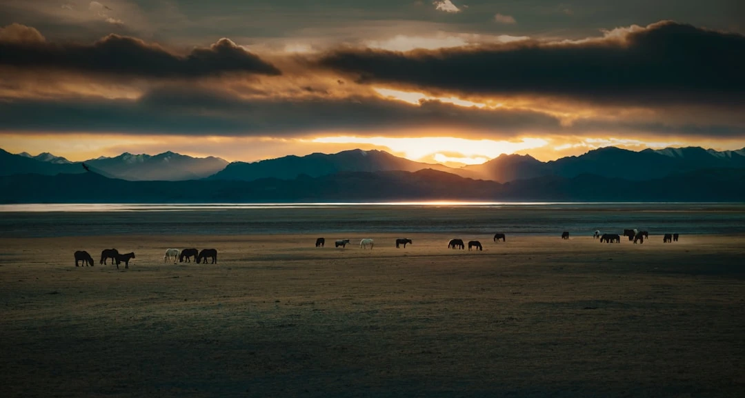 Diễn biến quan trọng trong trận đấu Real Madrid vs Manchester City.