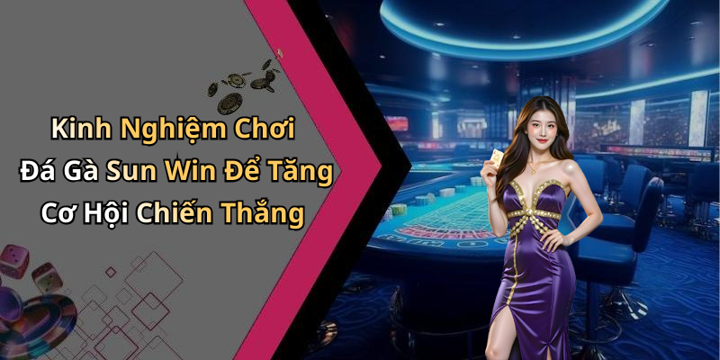 Kinh Nghiệm Chơi Đá Gà Sun Win Để Tăng Cơ Hội Chiến Thắng