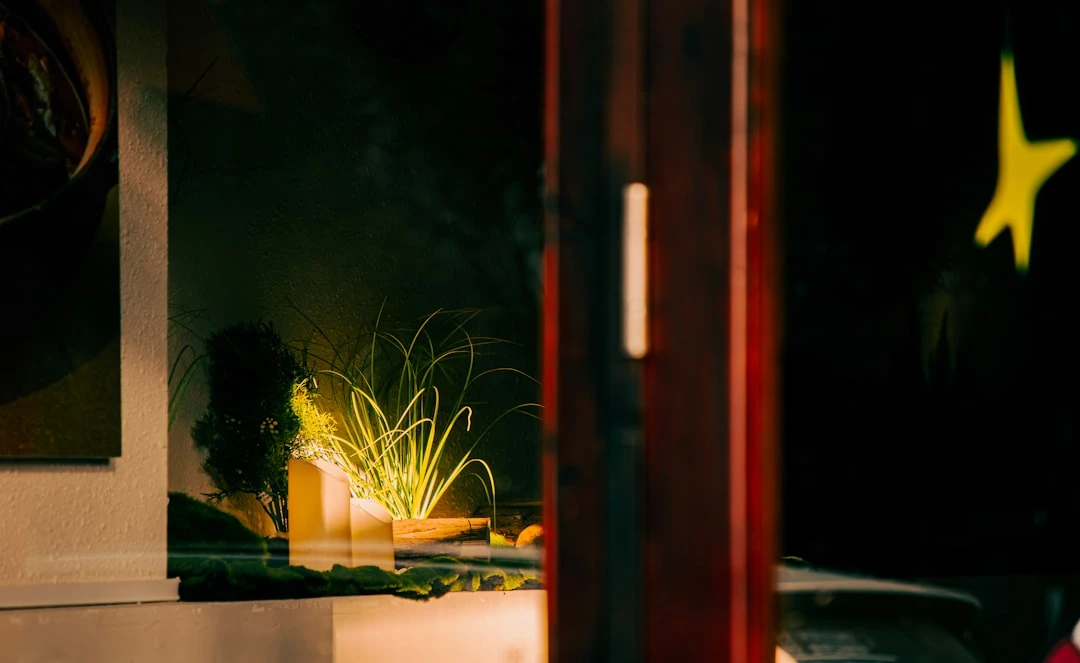 Highlight bóng đá C1 trên YouTube