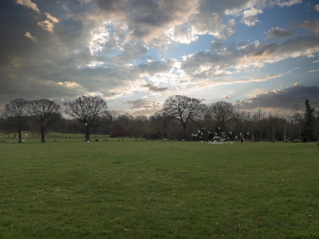 Highlight bóng đá MU vs Lyon