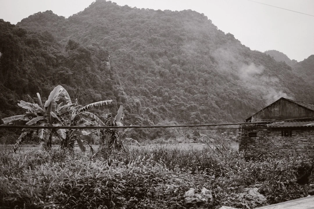 Hình ảnh huyền thoại thể hình tại Việt Nam