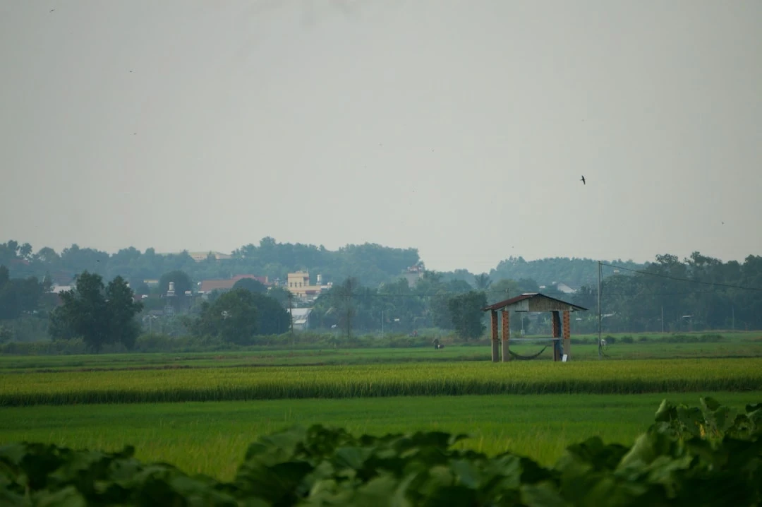 top-xe-dap-the-thao-nen-mua-duoi-goc-nhin-cua-mot-phong-vien-the-thao